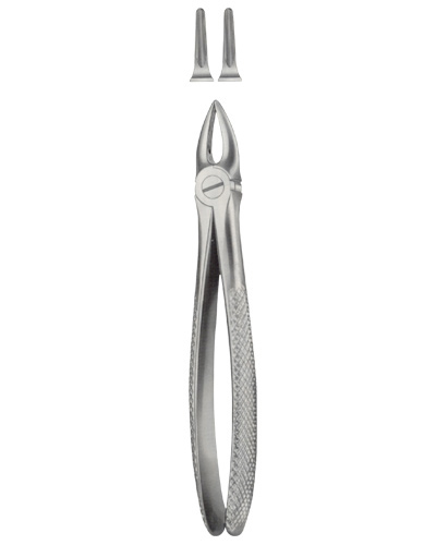 Tooth Forceps for upper roots