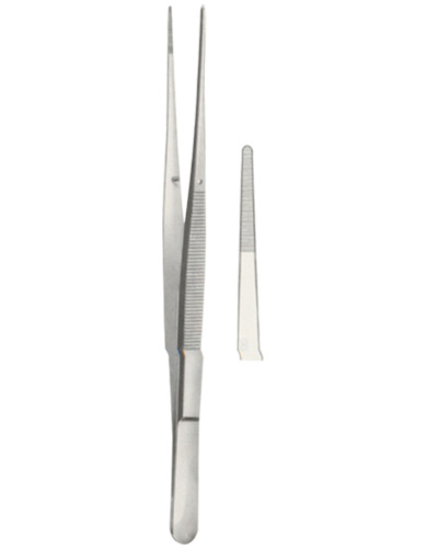 Dissecting Forceps 